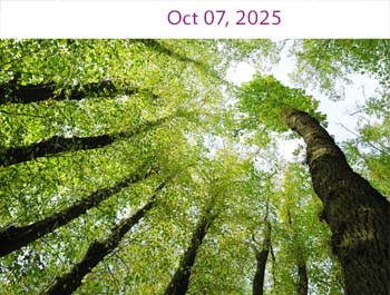 Innovating the future with sustainable VISIOMER® specialty methacrylates